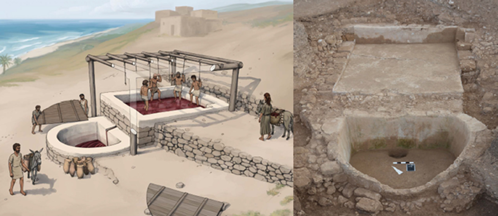 Produrre vino fenicio: le strutture di Tell el-Burak (Libano) sotto il microscopio. 